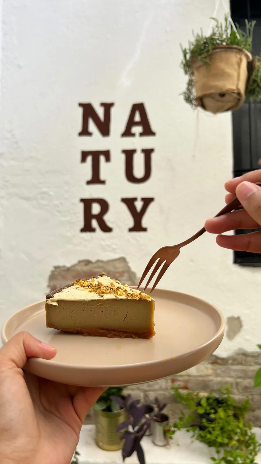 Porción de tarta frente a la pared con el nombre Natury